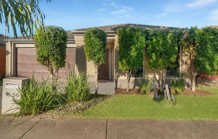 56 Millicent Drive