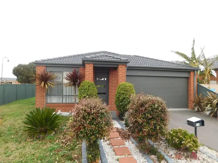 Main view of Homely house listing, 29 Hector Drive, Cranbourne VIC 3977