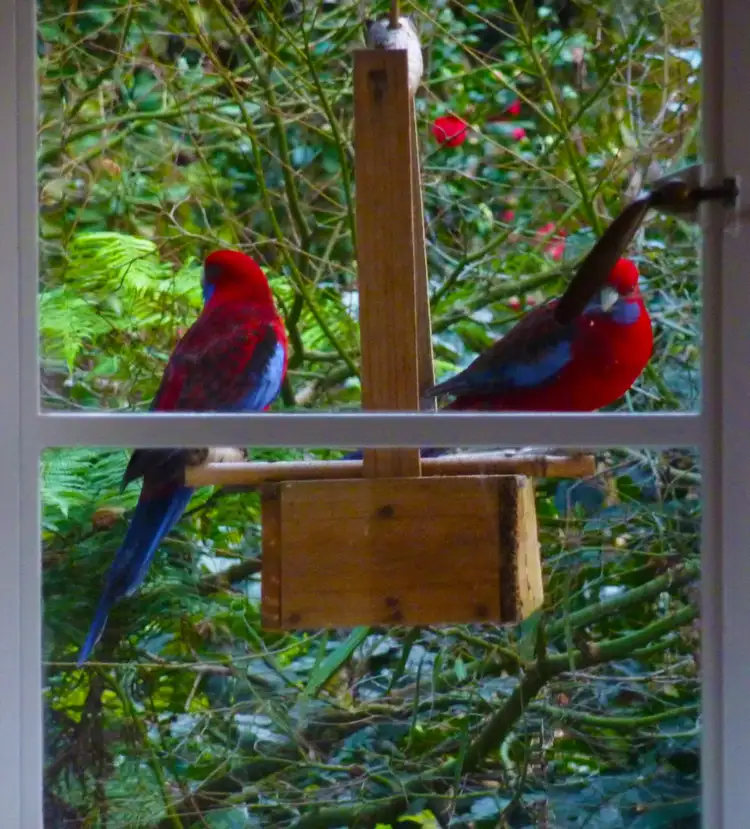 Third view of Homely house listing, 9 Dalmonte Grove, Kallista VIC 3791