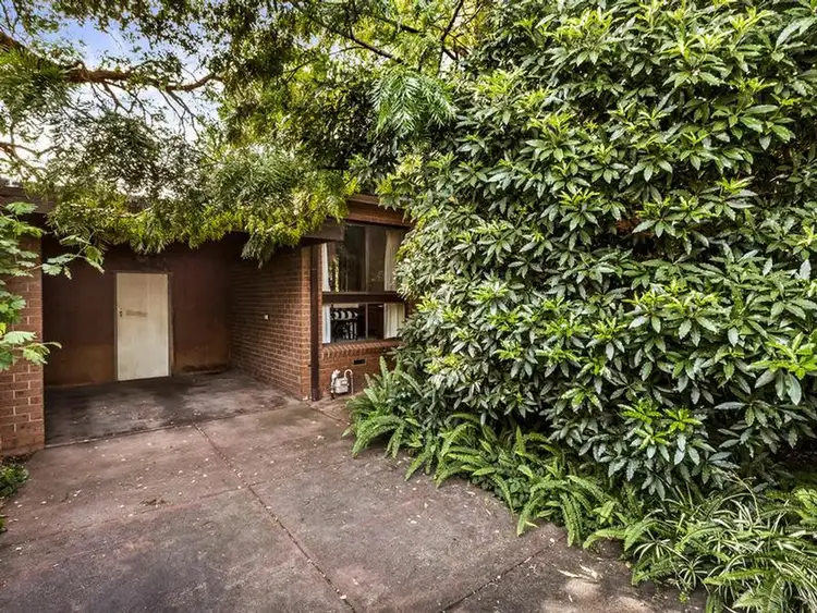 6/29 Victoria Street, Box Hill VIC 3128