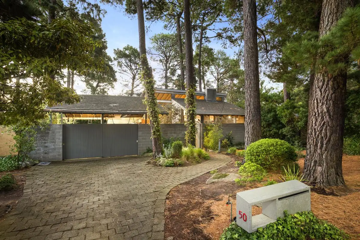 Main view of Homely house listing, 50 Pine Crescent, Ringwood North VIC 3134