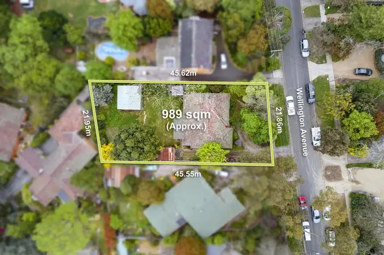 16 Wellington Avenue, Blackburn VIC 3130