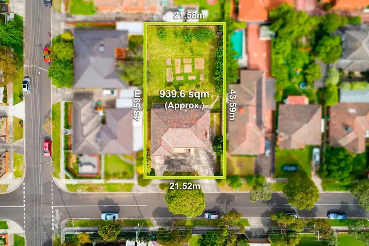 14 Edinburgh Street, Box Hill South VIC 3128