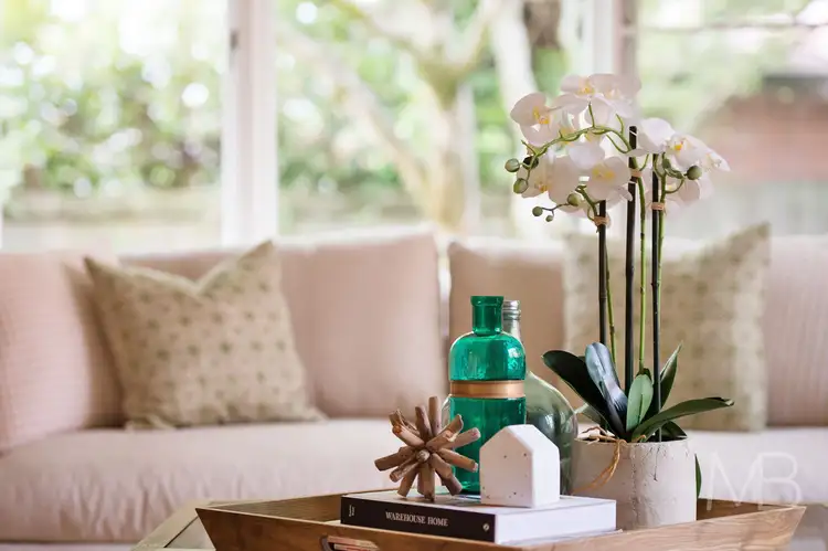 Third view of Homely house listing, 17 Hamilton Parade, Pymble NSW 2073