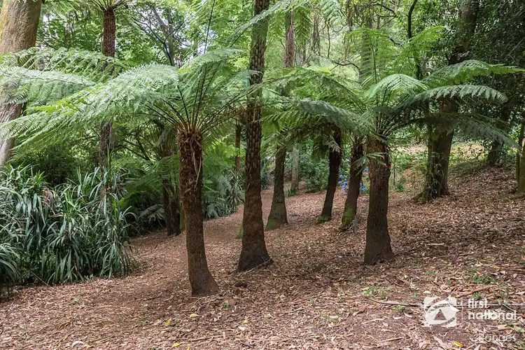 Second view of Homely house listing, 85 Kallista-Emerald Road, The Patch VIC 3792