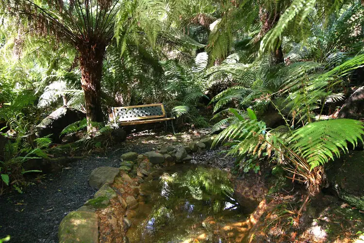 Fourth view of Homely house listing, 85 Kallista-Emerald Road, The Patch VIC 3792