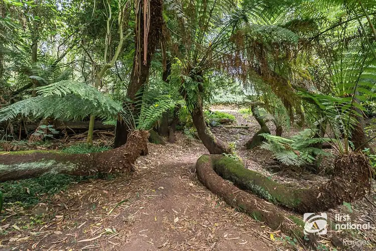 Sixth view of Homely house listing, 85 Kallista-Emerald Road, The Patch VIC 3792