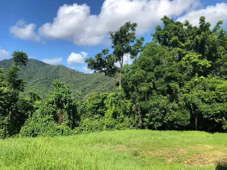 45 East Parkridge Drive, Brinsmead QLD 4870