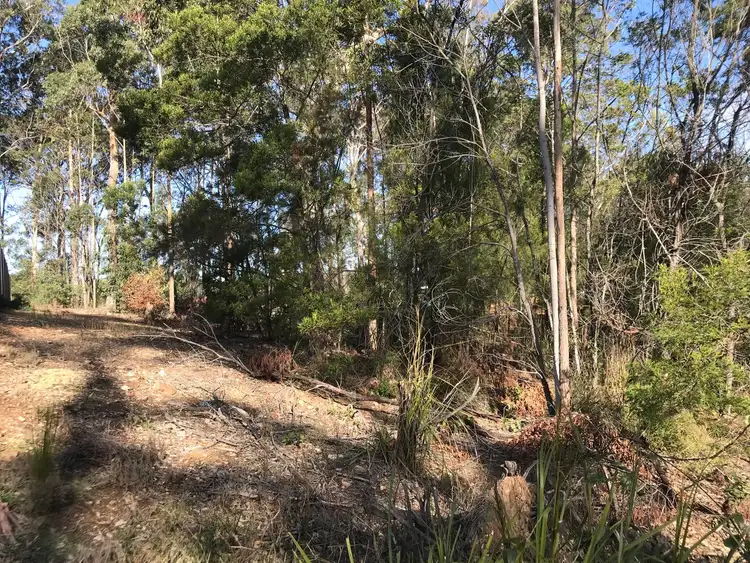 Fourth view of Homely land listing, 50 Litchfield Crescent, Long Beach NSW 2536