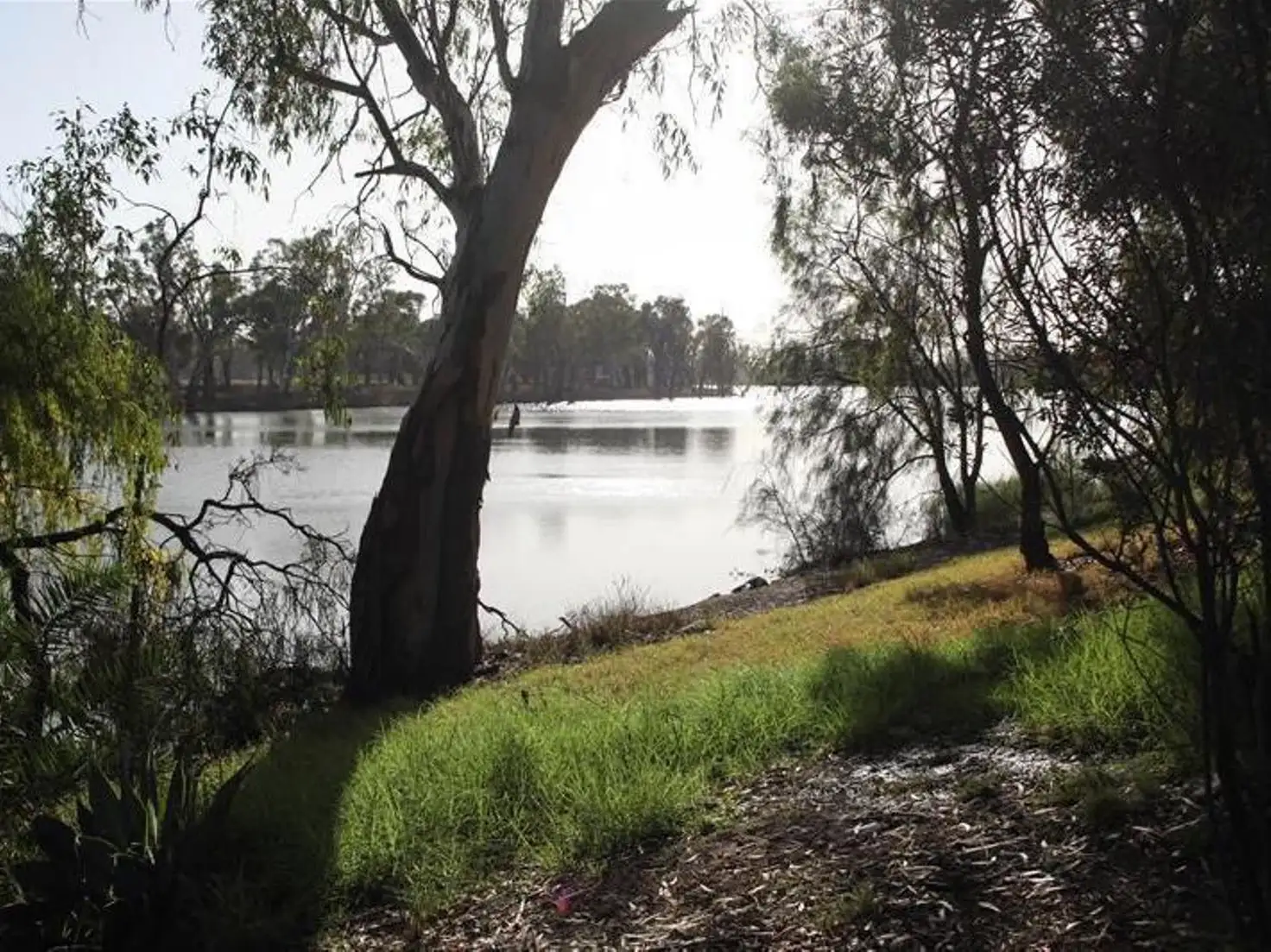 Main view of Homely rural property listing, Cowra Station Old Mail Road, Wargan VIC 3505