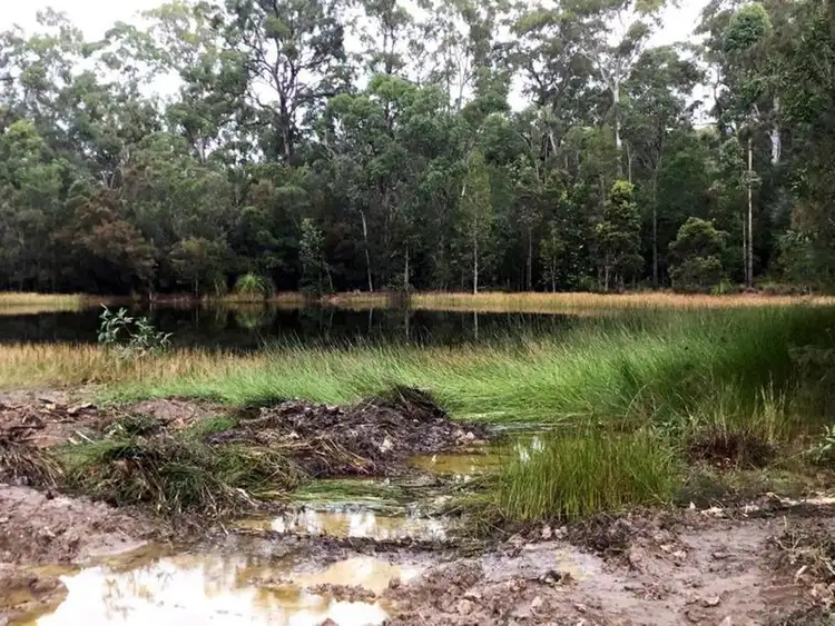 Sixth view of Homely rural property listing, Lot 38 Fat Duck Road, Woombah NSW 2469