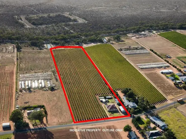 354 Gol Gol North Road, Gol Gol NSW 2738