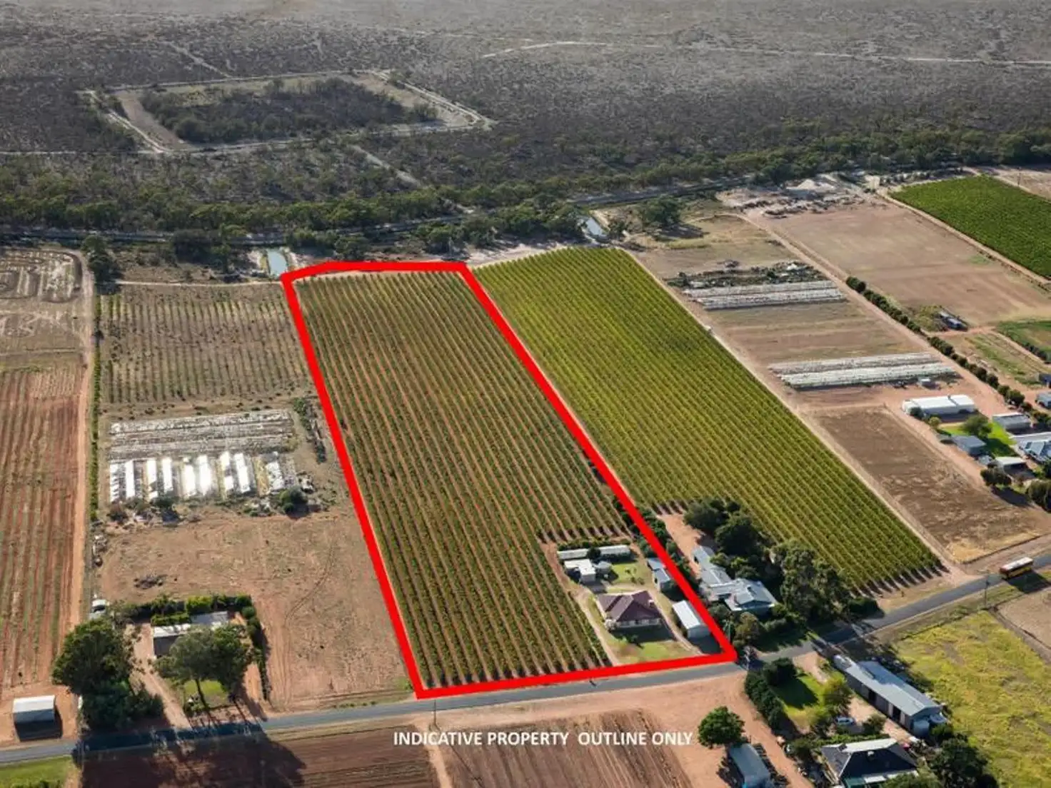 Main view of Homely rural property listing, 354 Gol Gol North Road, Gol Gol NSW 2738