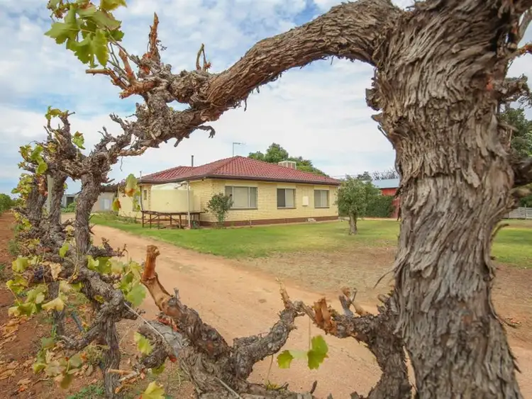 Second view of Homely rural property listing, 354 Gol Gol North Road, Gol Gol NSW 2738