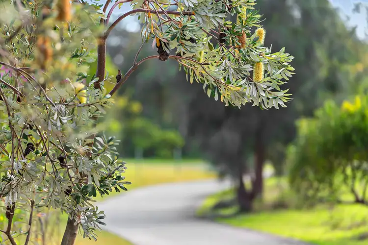 Fourth view of Homely semi-detached listing, 11B Alexander Avenue, Taren Point NSW 2229