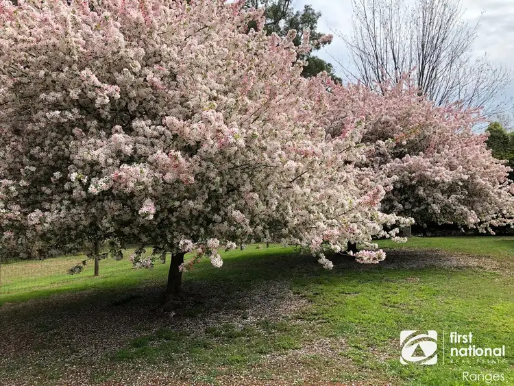 Second view of Homely house listing, 15 Phillip Road, Avonsleigh VIC 3782