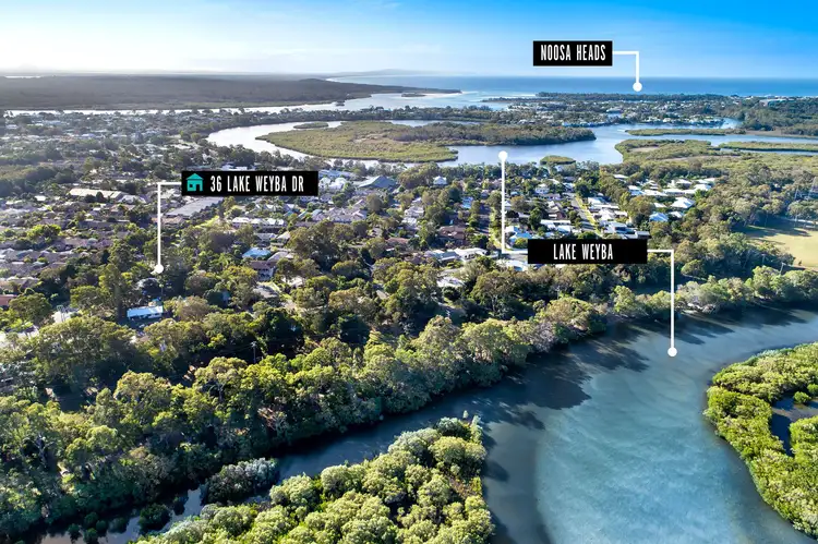 Second view of Homely house listing, 36 Lake Weyba Drive, Noosaville QLD 4566