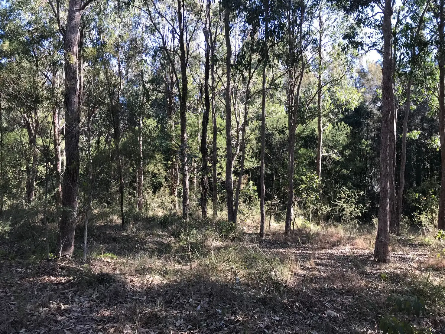 Main view of Homely land listing, 7d Palana Street, Surfside NSW 2536