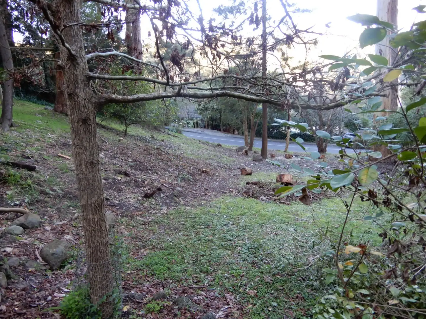 Main view of Homely land listing, 31 Fairy Dell Road, Tecoma VIC 3160