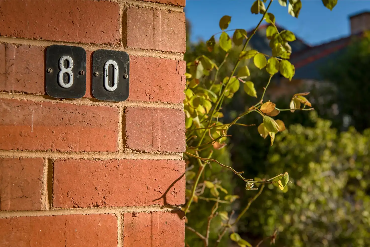 Main view of Homely house listing, 80 Finniss Crescent, Narrabundah ACT 2604