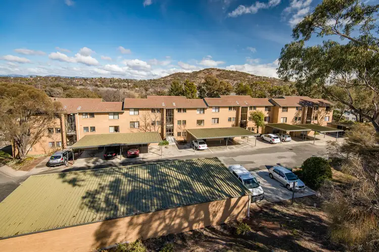 13/4 Heard Street, Mawson ACT 2607