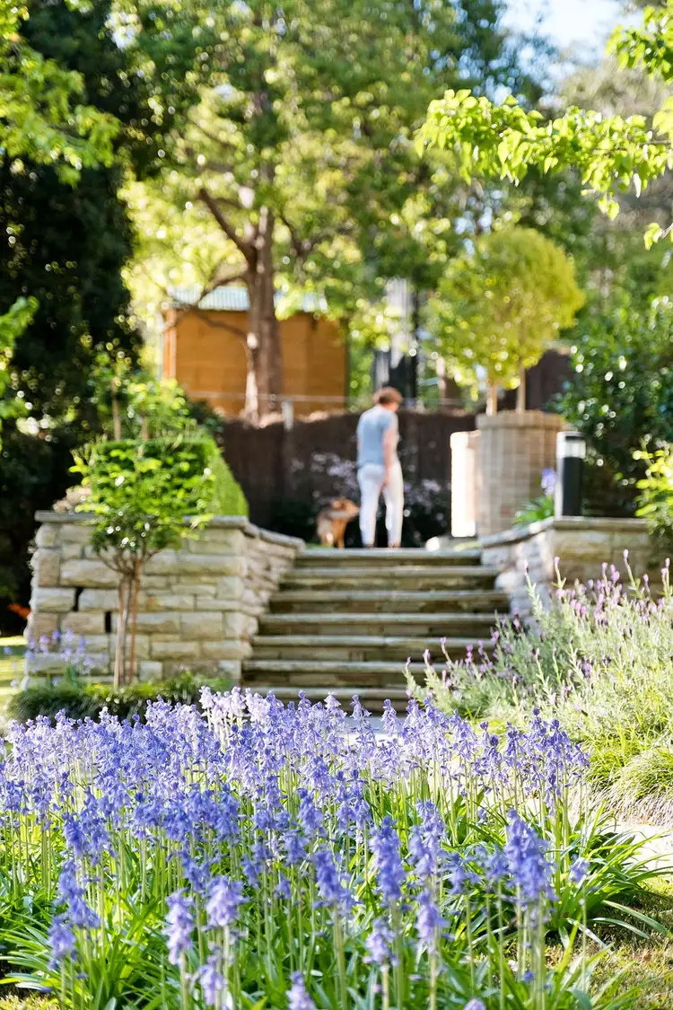 Fifth view of Homely house listing, 3 Norfolk Street, Killara NSW 2071