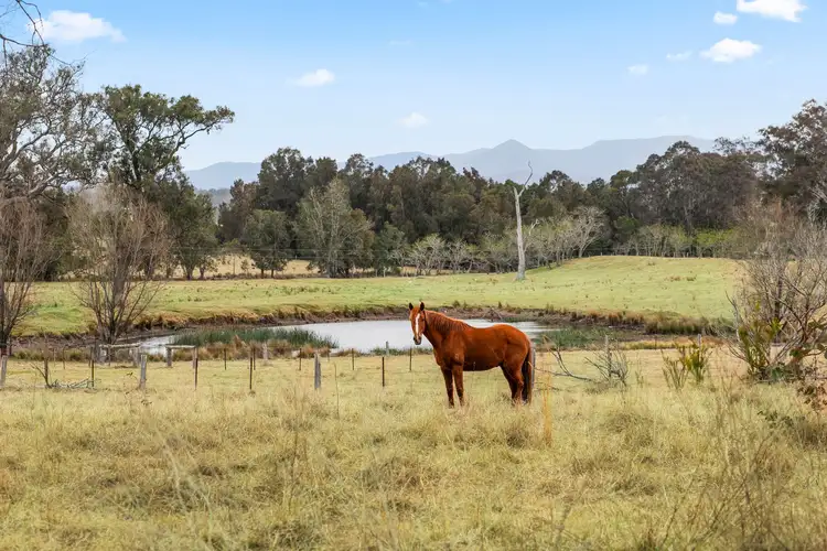 Third view of Homely house listing, 2315 Princes Highway, Moruya NSW 2537