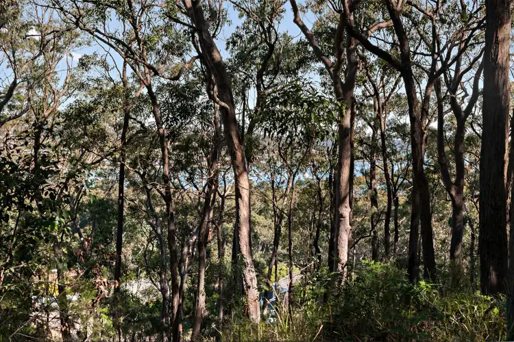 Second view of Homely land listing, 36 Woodside Drive, Eleebana NSW 2282