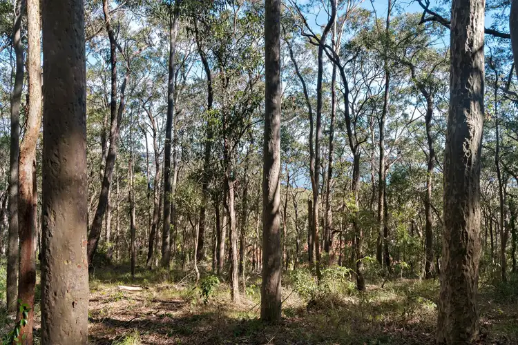 Third view of Homely land listing, 36 Woodside Drive, Eleebana NSW 2282