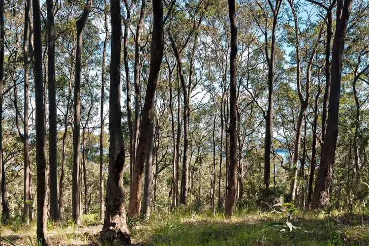 Fifth view of Homely land listing, 36 Woodside Drive, Eleebana NSW 2282