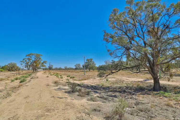 Fifth view of Homely rural property listing, 174 Cootamundra Avenue, Red Cliffs VIC 3496