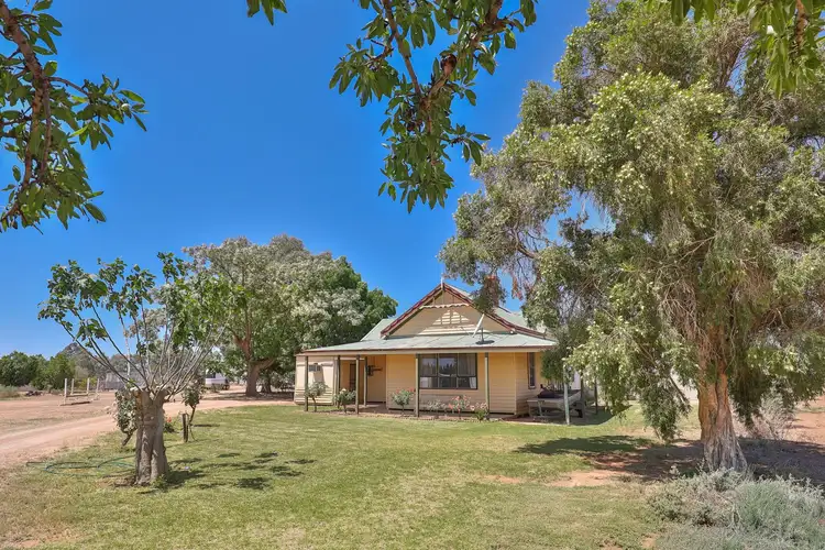Main view of Homely house listing, 891 Cureton Avenue, Irymple VIC 3498