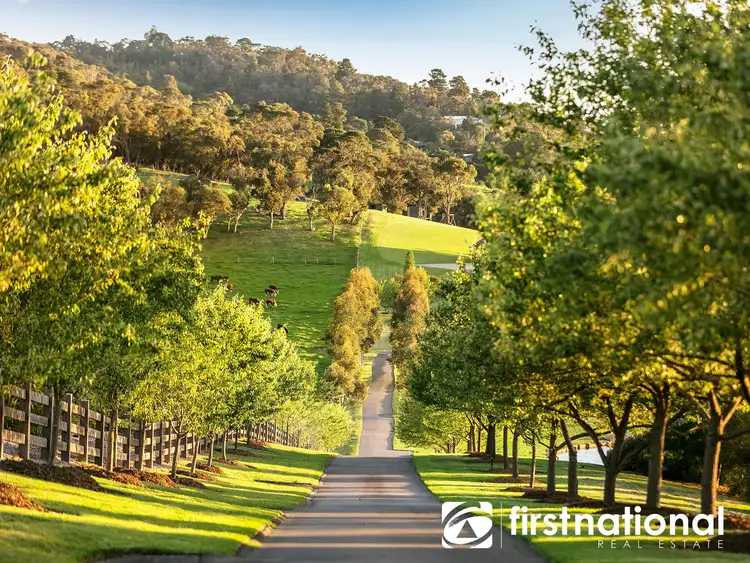 Third view of Homely house listing, 10 Myrtle Grove, Guys Hill VIC 3807