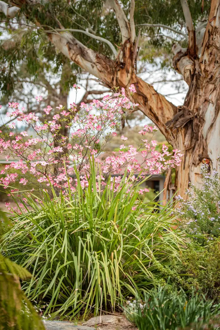 Second view of Homely house listing, 58 Hyndes Crescent, Holder ACT 2611