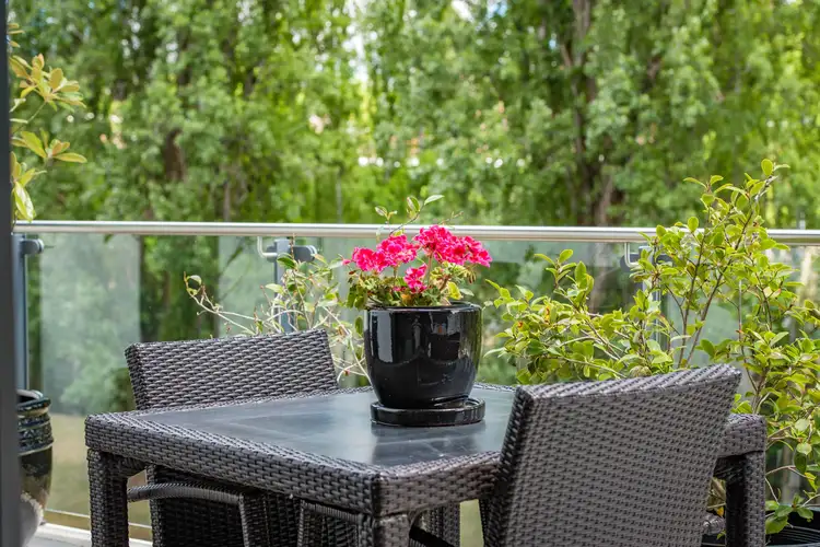 Third view of Homely unit listing, 64/18 Austin Street, Griffith ACT 2603