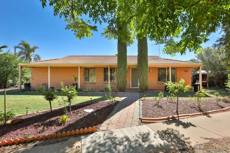 55 Riverside Avenue, Mildura VIC 3500