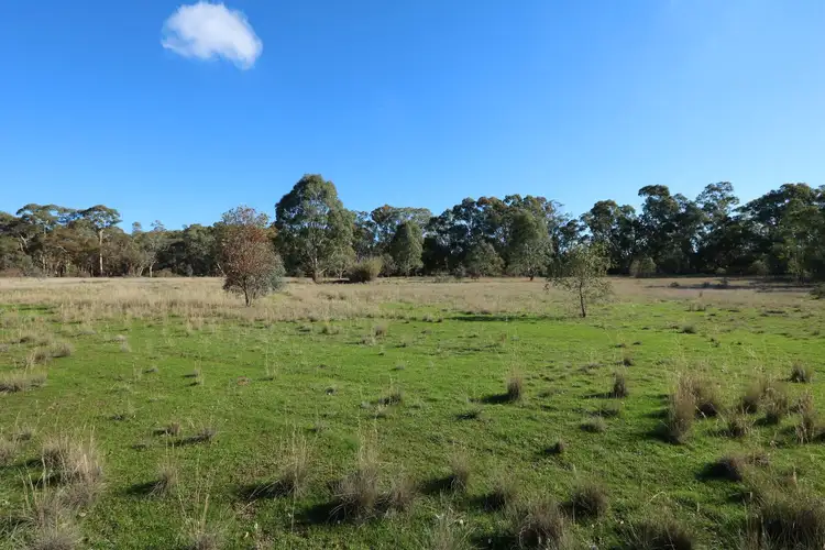 Fifth view of Homely rural property listing, 405 Dooley's Road SIMSON, Maryborough VIC 3465