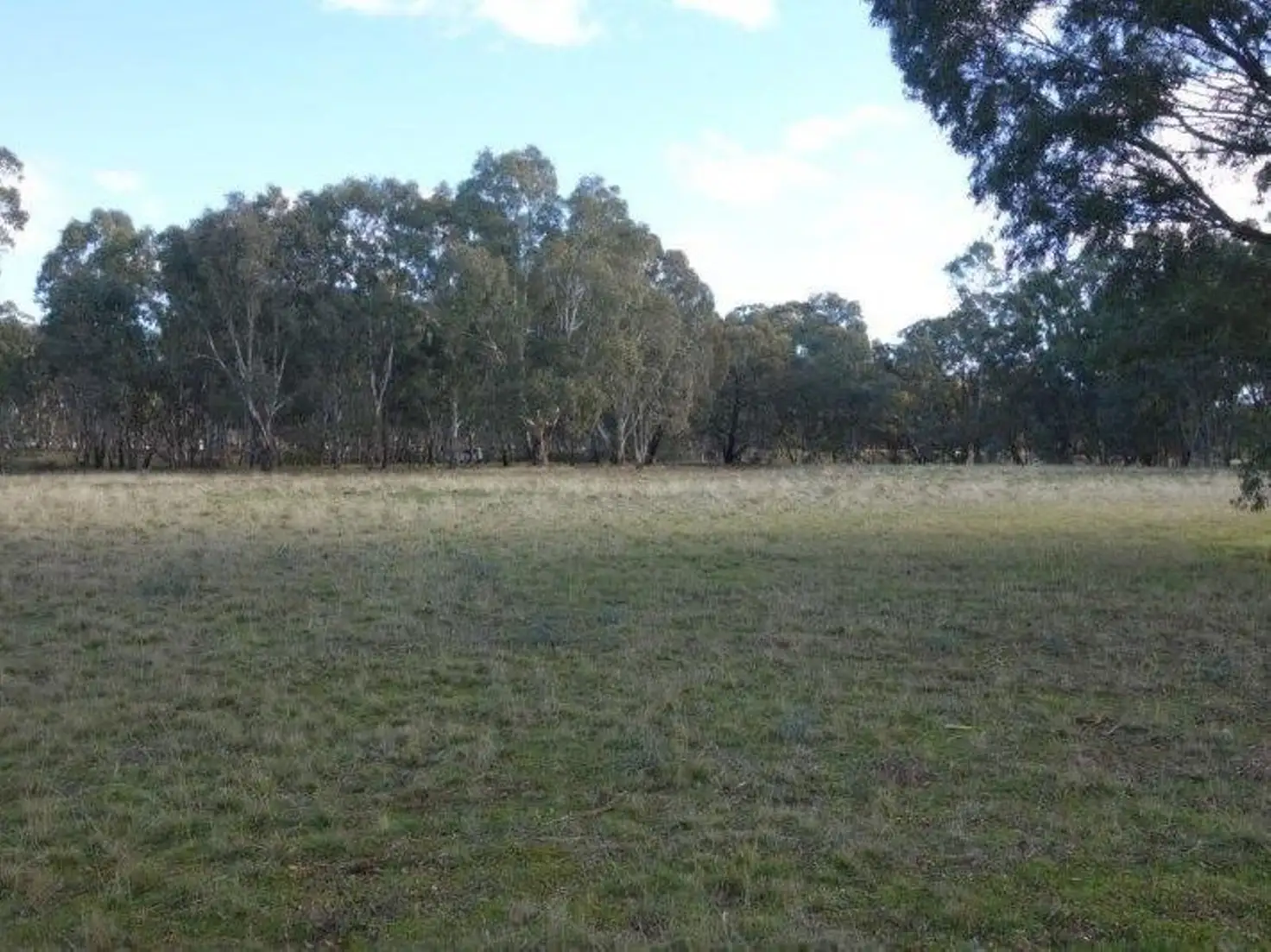 Main view of Homely rural property listing, 219 Dunolly-Moliagul Road, Dunolly VIC 3472