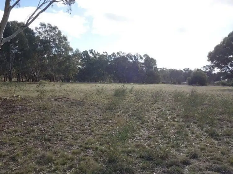 Third view of Homely rural property listing, 219 Dunolly-Moliagul Road, Dunolly VIC 3472