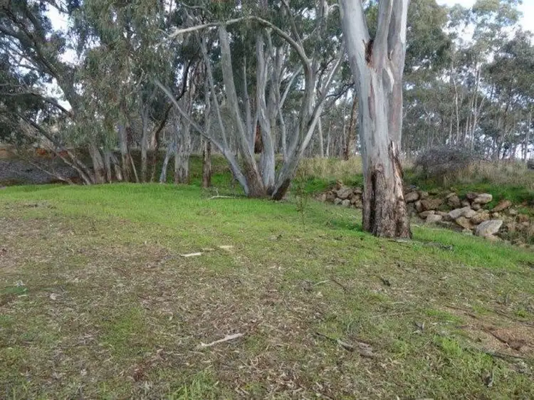 Sixth view of Homely rural property listing, 219 Dunolly-Moliagul Road, Dunolly VIC 3472