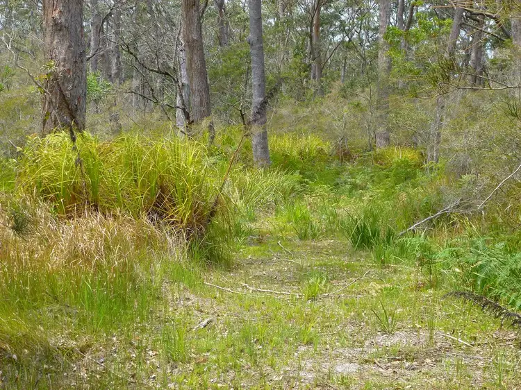 Third view of Homely land listing, 531 Skylark Close, Bawley Point NSW 2539