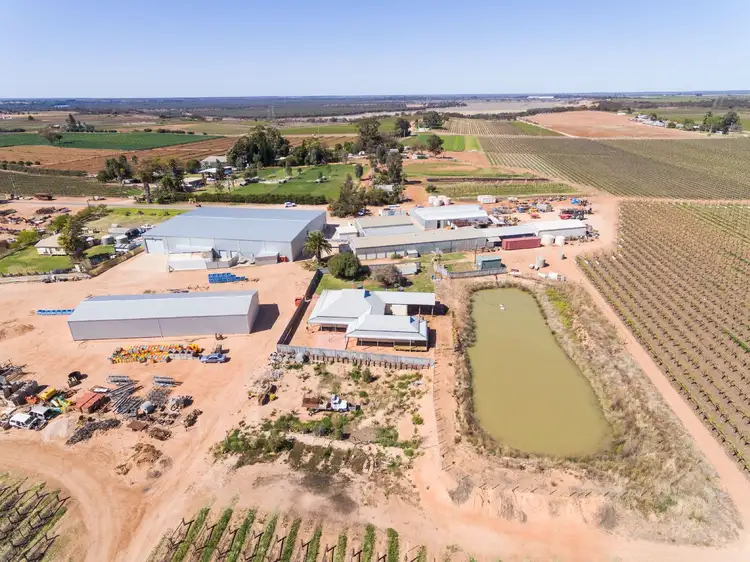 Main view of Homely rural property listing, 162 Scout Hall Road, Red Cliffs VIC 3496