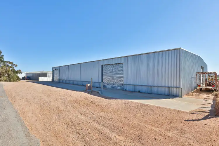 Fifth view of Homely rural property listing, 162 Scout Hall Road, Red Cliffs VIC 3496
