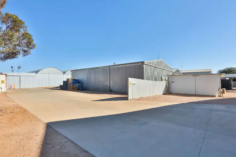 Seventh view of Homely rural property listing, 162 Scout Hall Road, Red Cliffs VIC 3496