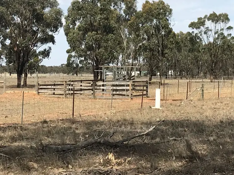Lot 13 & 29/249 Larsens Road, Kamarooka VIC 3570
