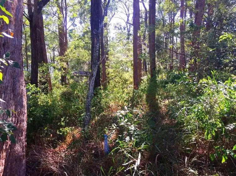 Fifth view of Homely land listing, 142 Cove Boulevard, North Arm Cove NSW 2324