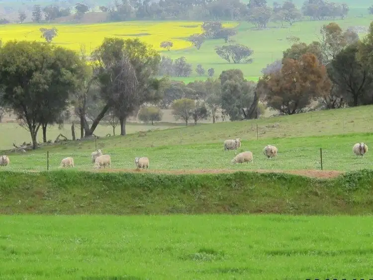 Third view of Homely house listing, 134 Geeralying Road, Narrogin WA 6312