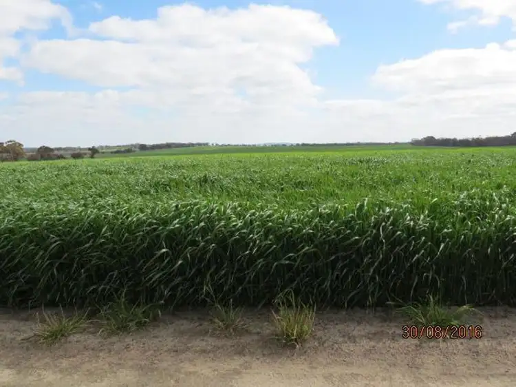 Second view of Homely rural property listing, 305 Leo Road, Kukerin WA 6352