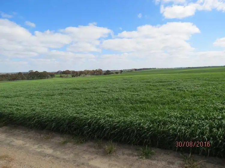 Third view of Homely rural property listing, 305 Leo Road, Kukerin WA 6352