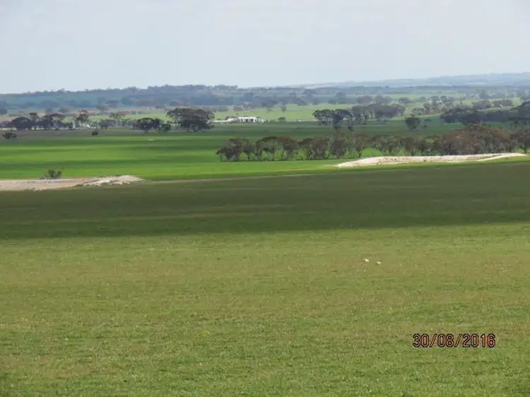 Fourth view of Homely rural property listing, 305 Leo Road, Kukerin WA 6352